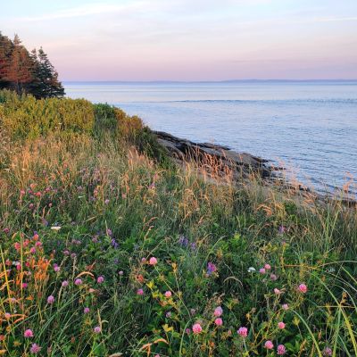 West End Golden Hour by Anna LeBlanc